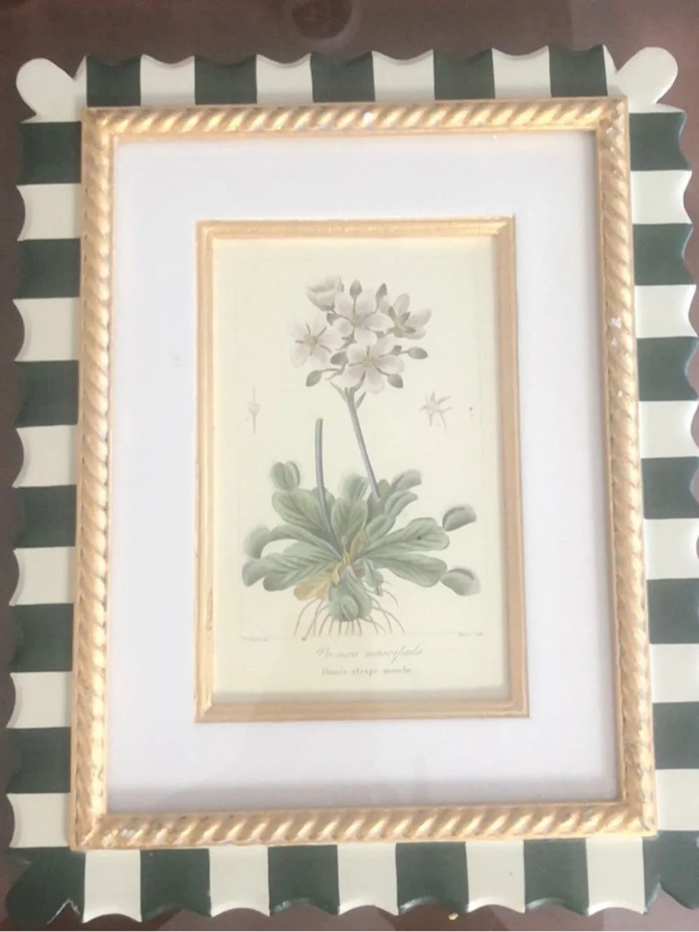 Set of 4 Trowbridge Botanicsl Prints Set of Four